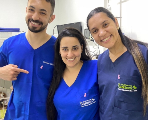Outubro rosa (Matheus,ívina e Glaucia)